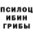 Галлюциногенные грибы прущие грибы Jason Brauner